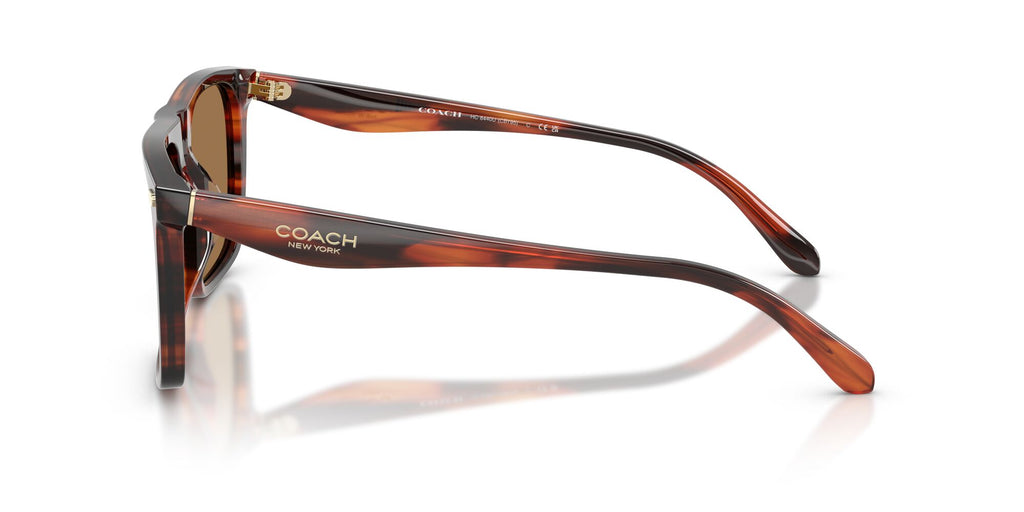 Coach 0HC8440U 5906/O 57 Striated Caramel/ Brown Flash