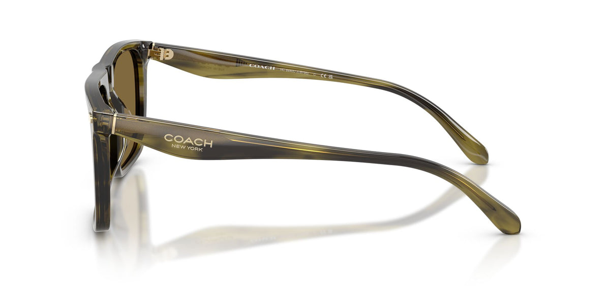 Coach 0HC8440U 5907S7 57 Olive Stripes/ Green Grey