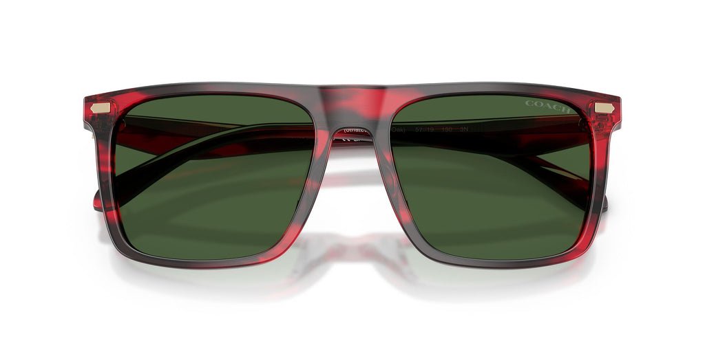 Coach 0HC8440U 590871 57 Striated Cherry Oak/ Green Solid