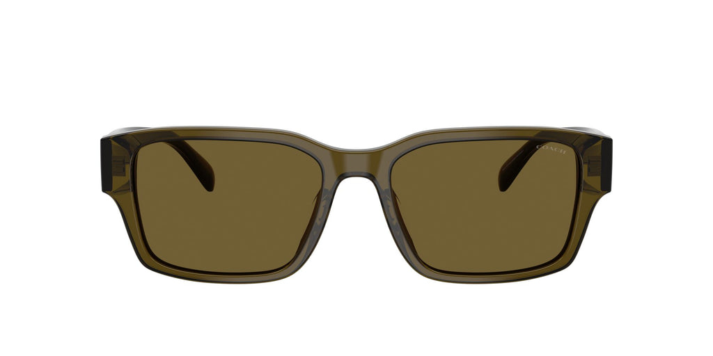 Coach 0HC8441U 591073 55 Transparent Olive/ Green Solid
