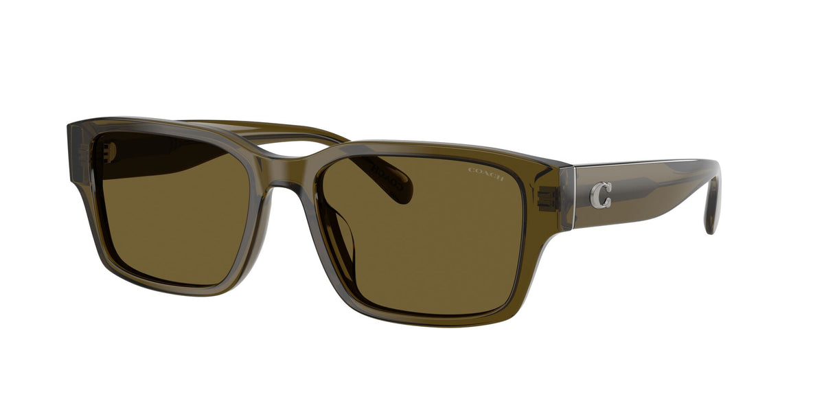 Coach 0HC8441U 591073 55 Transparent Olive/ Green Solid