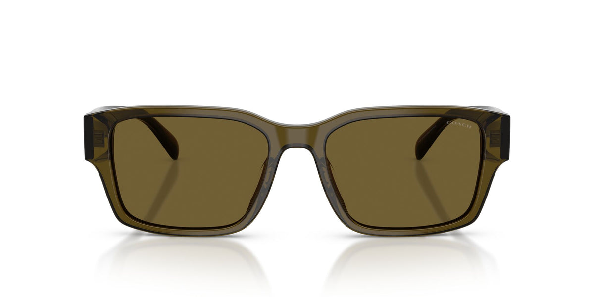 Coach 0HC8441U 591073 55 Transparent Olive/ Green Solid