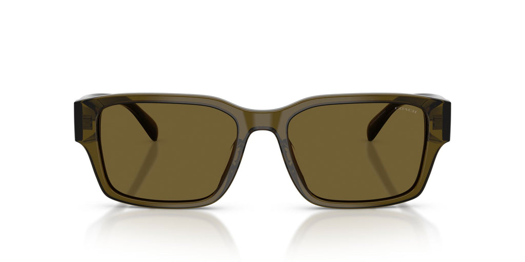 Coach 0HC8441U 591073 55 Transparent Olive/ Green Solid