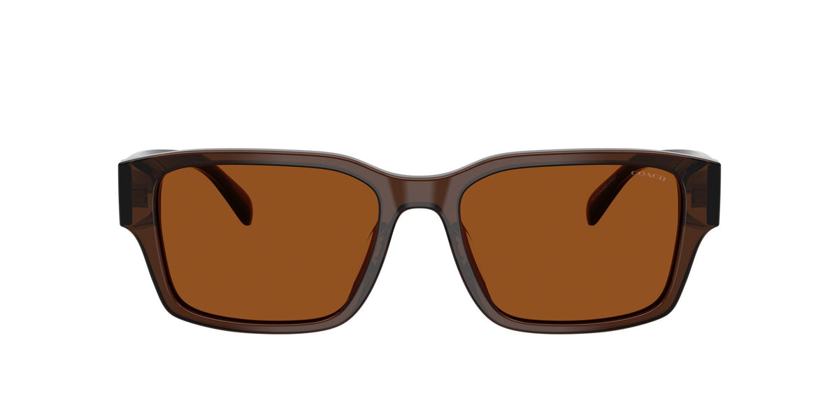 Coach 0HC8441U 591173 55 Transparent Brown/ Brown Solid