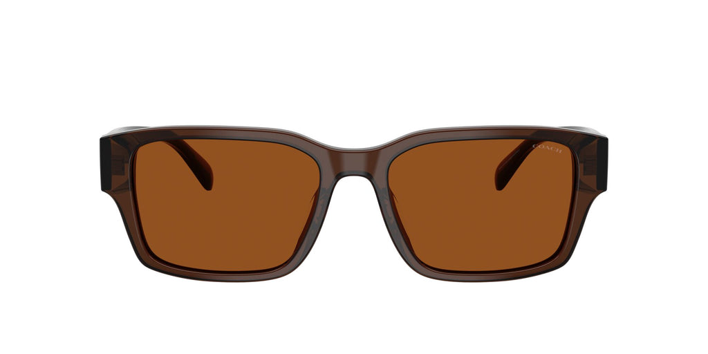 Coach 0HC8441U 591173 55 Transparent Brown/ Brown Solid