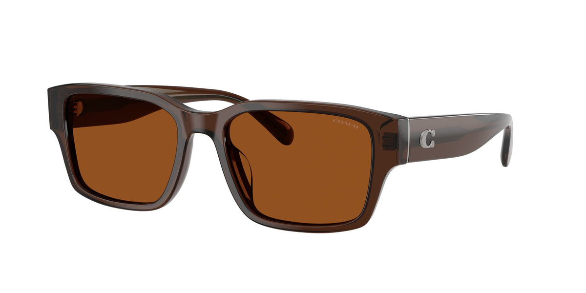 Coach 0HC8441U 591173 55 Transparent Brown/ Brown Solid