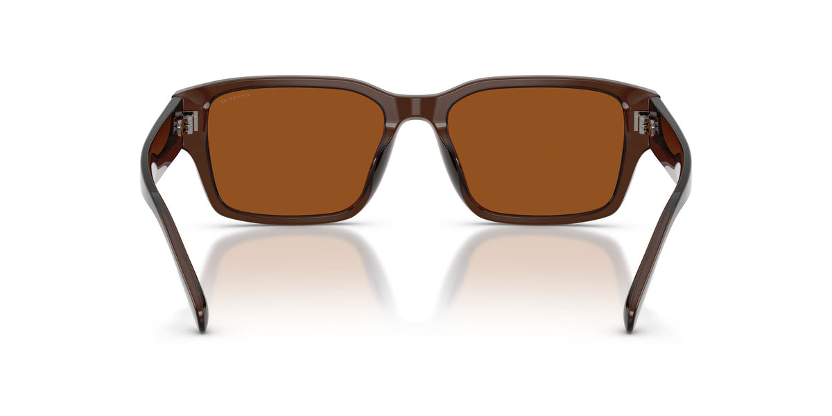 Coach 0HC8441U 591173 55 Transparent Brown/ Brown Solid