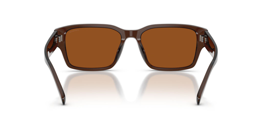 Coach 0HC8441U 591173 55 Transparent Brown/ Brown Solid