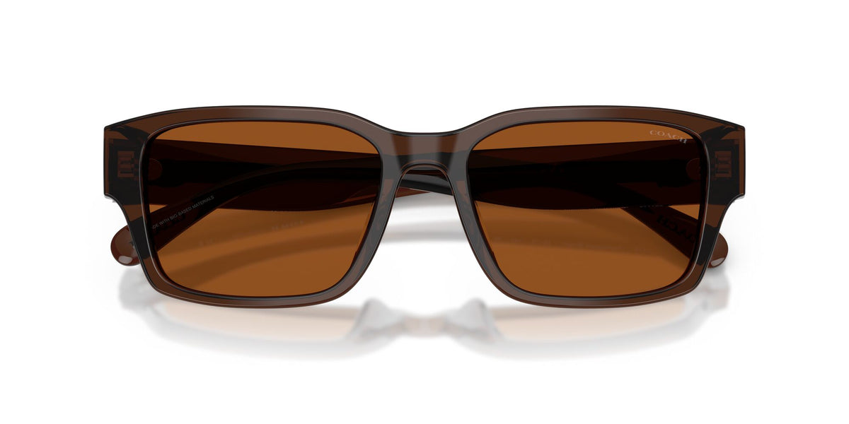 Coach 0HC8441U 591173 55 Transparent Brown/ Brown Solid