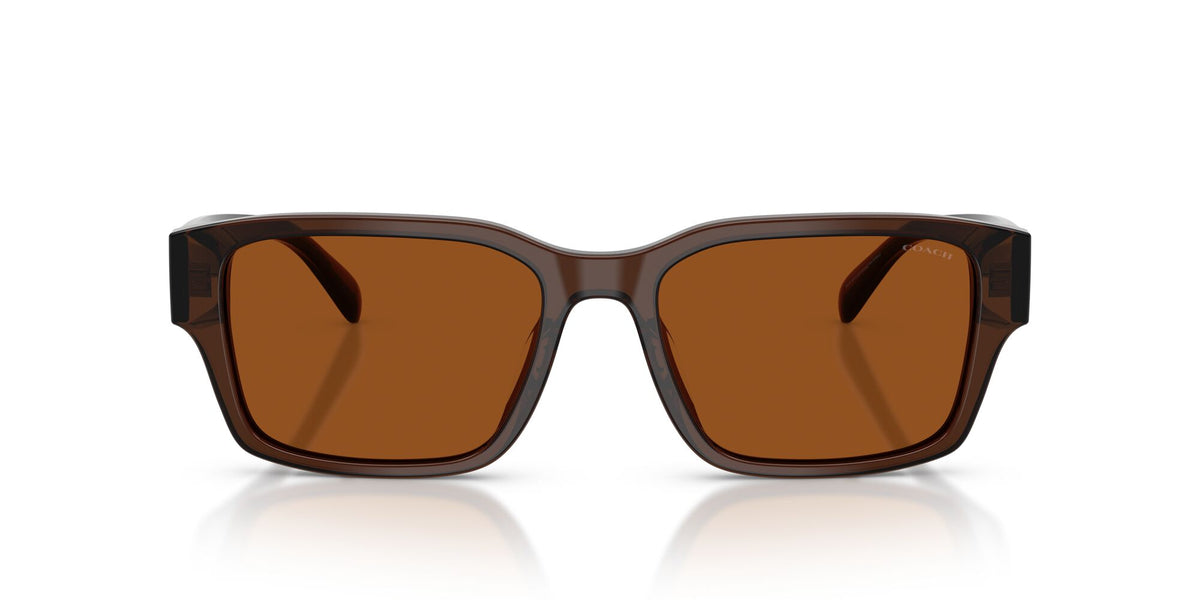 Coach 0HC8441U 591173 55 Transparent Brown/ Brown Solid