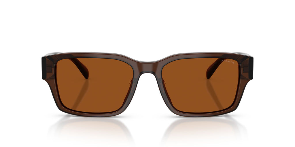 Coach 0HC8441U 591173 55 Transparent Brown/ Brown Solid