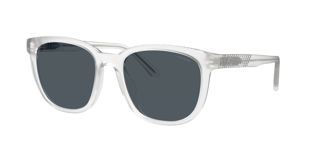 Coach 0HC8442U 511187 54 Transparent Clear/ Blue Grey Solid