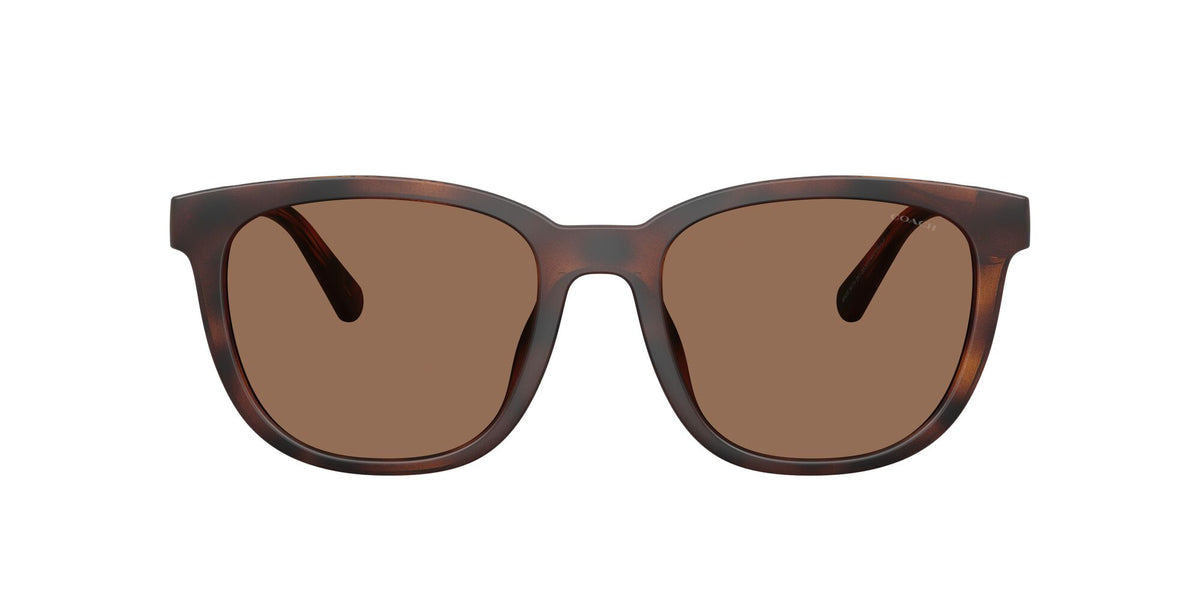 Coach 0HC8442U 512073 54 Matte Dark Tortoise/ Brown Solid