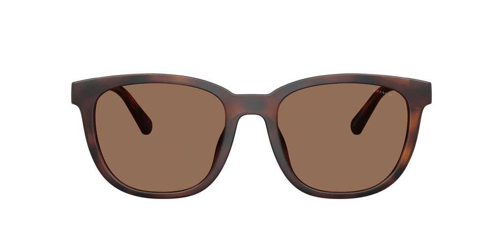 Coach 0HC8442U 512073 54 Matte Dark Tortoise/ Brown Solid