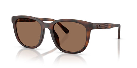 Coach 0HC8442U 512073 54 Matte Dark Tortoise/ Brown Solid