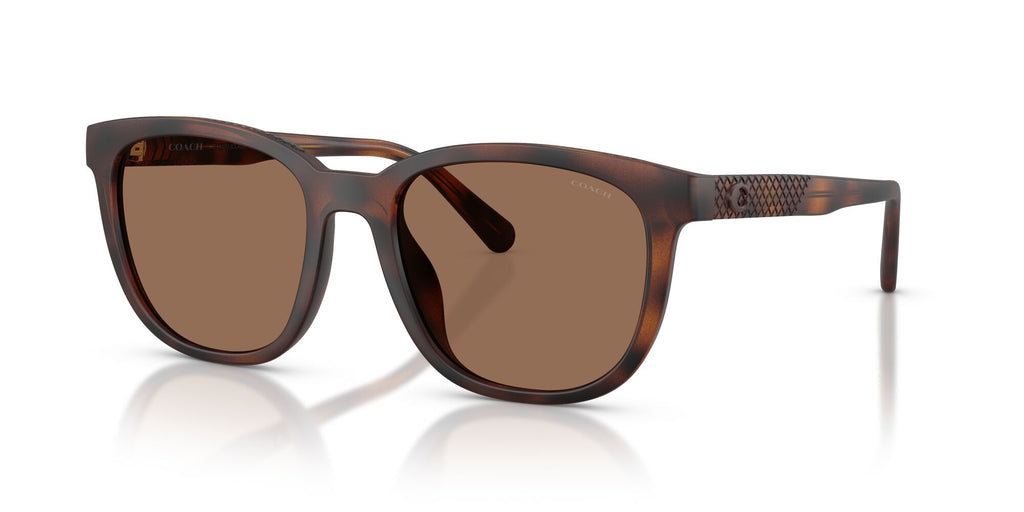 Coach 0HC8442U 512073 54 Matte Dark Tortoise/ Brown Solid