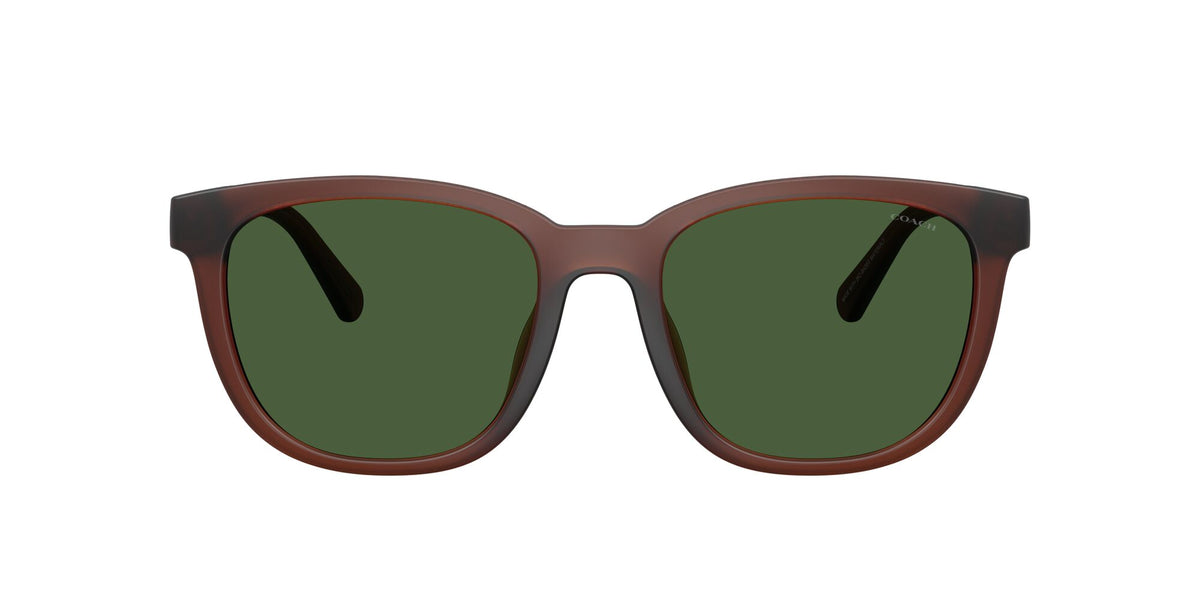 Coach 0HC8442U 591171 54 Matte Transparent Brown/ Green Solid