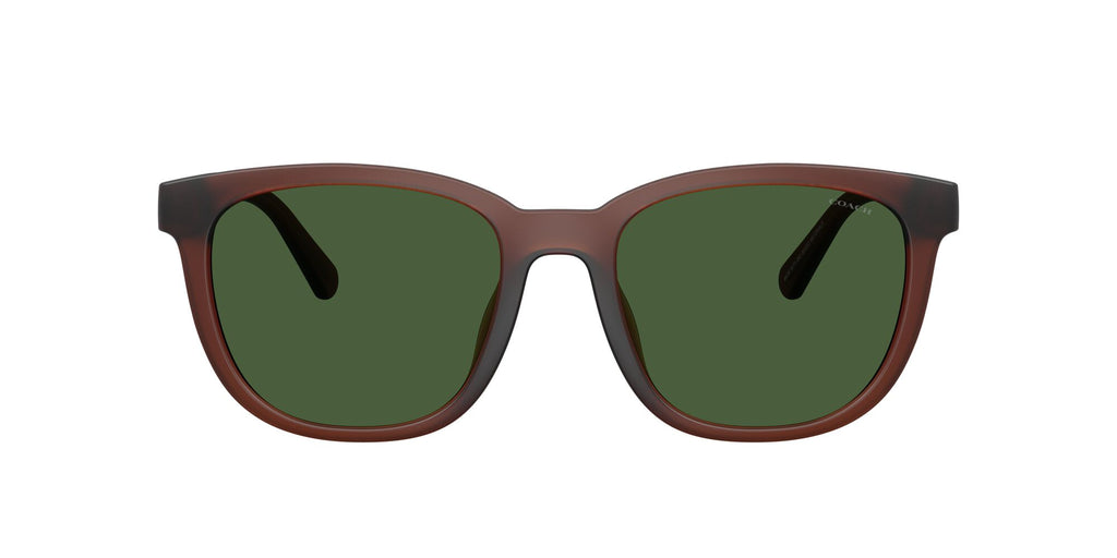 Coach 0HC8442U 591171 54 Matte Transparent Brown/ Green Solid
