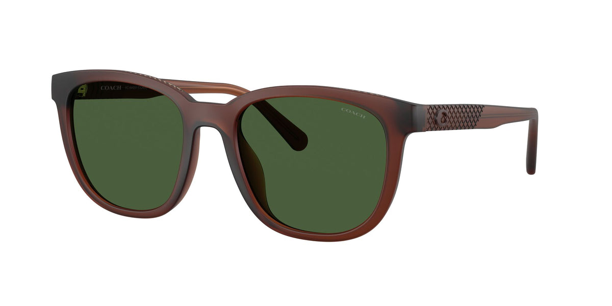 Coach 0HC8442U 591171 54 Matte Transparent Brown/ Green Solid