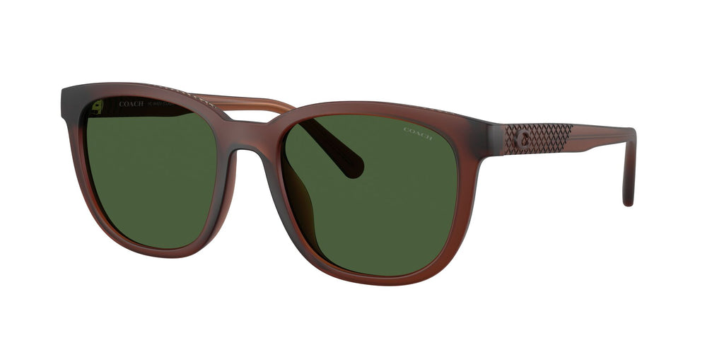 Coach 0HC8442U 591171 54 Matte Transparent Brown/ Green Solid