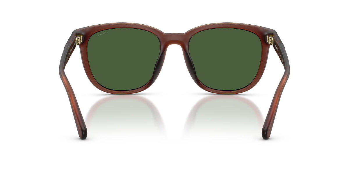 Coach 0HC8442U 591171 54 Matte Transparent Brown/ Green Solid