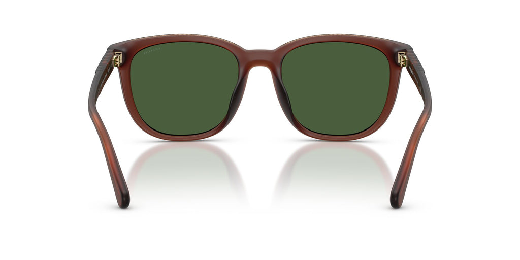 Coach 0HC8442U 591171 54 Matte Transparent Brown/ Green Solid