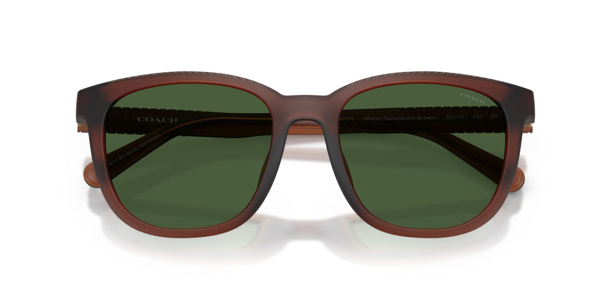 Coach 0HC8442U 591171 54 Matte Transparent Brown/ Green Solid