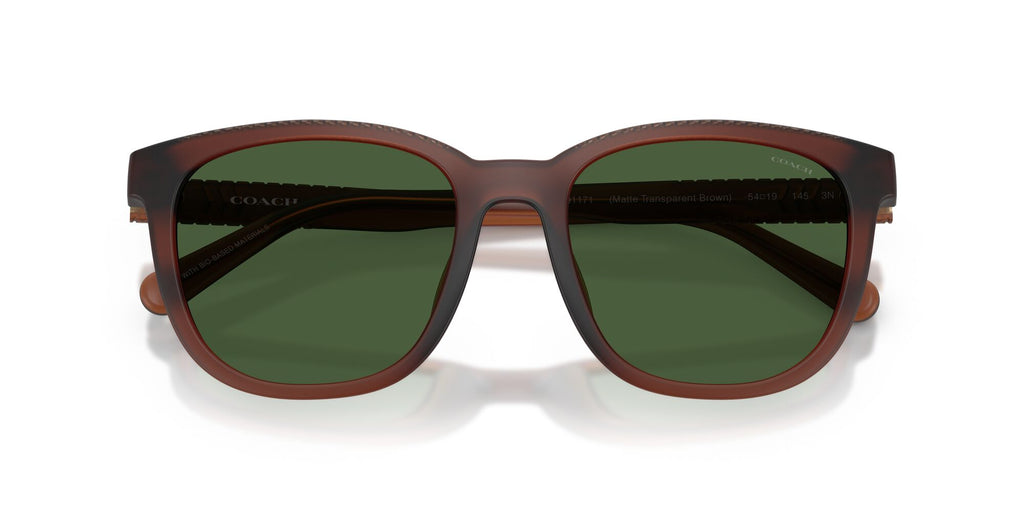 Coach 0HC8442U 591171 54 Matte Transparent Brown/ Green Solid