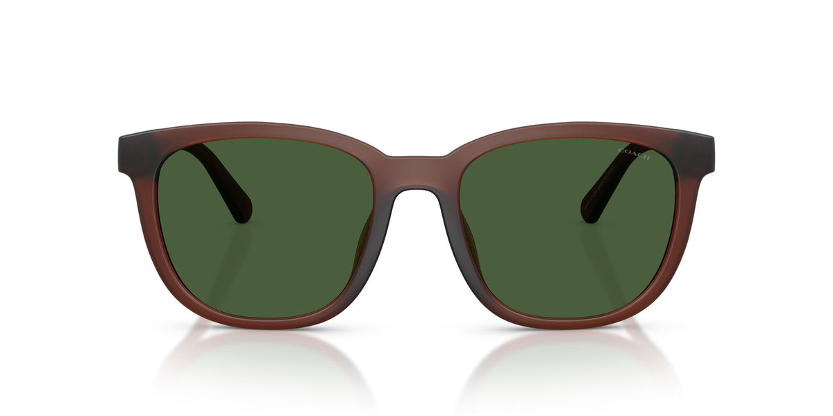 Coach 0HC8442U 591171 54 Matte Transparent Brown/ Green Solid