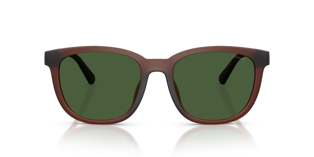 Coach 0HC8442U 591171 54 Matte Transparent Brown/ Green Solid