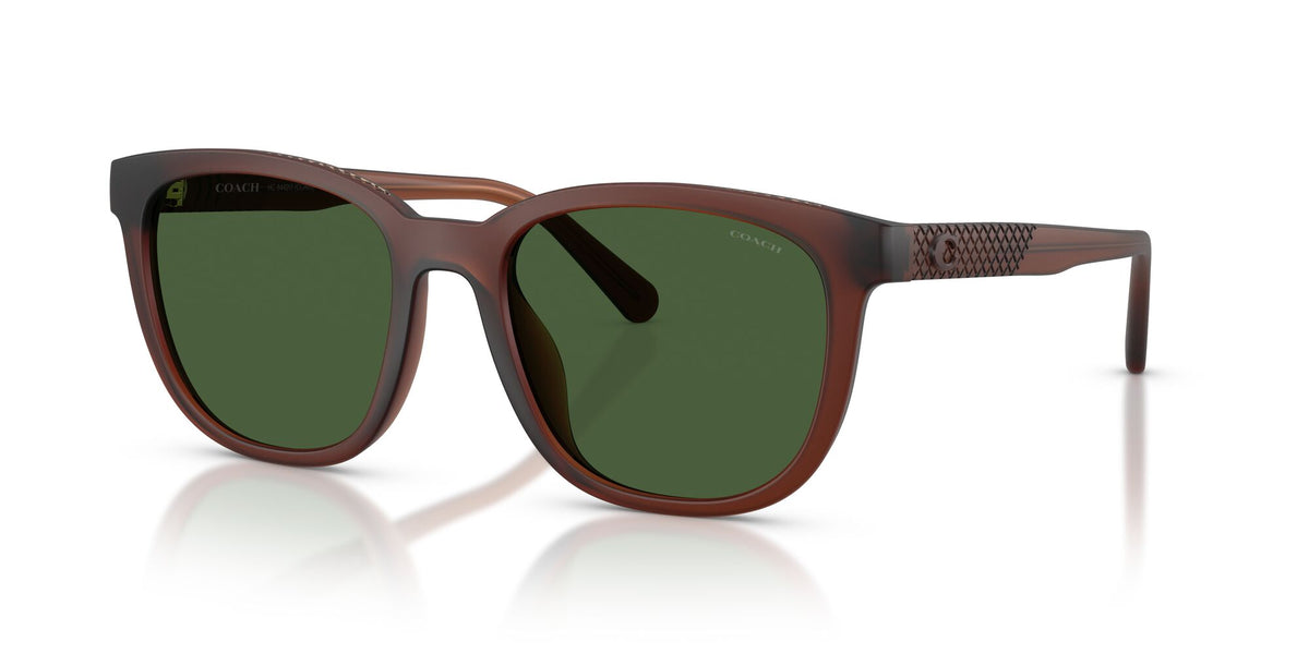 Coach 0HC8442U 591171 54 Matte Transparent Brown/ Green Solid