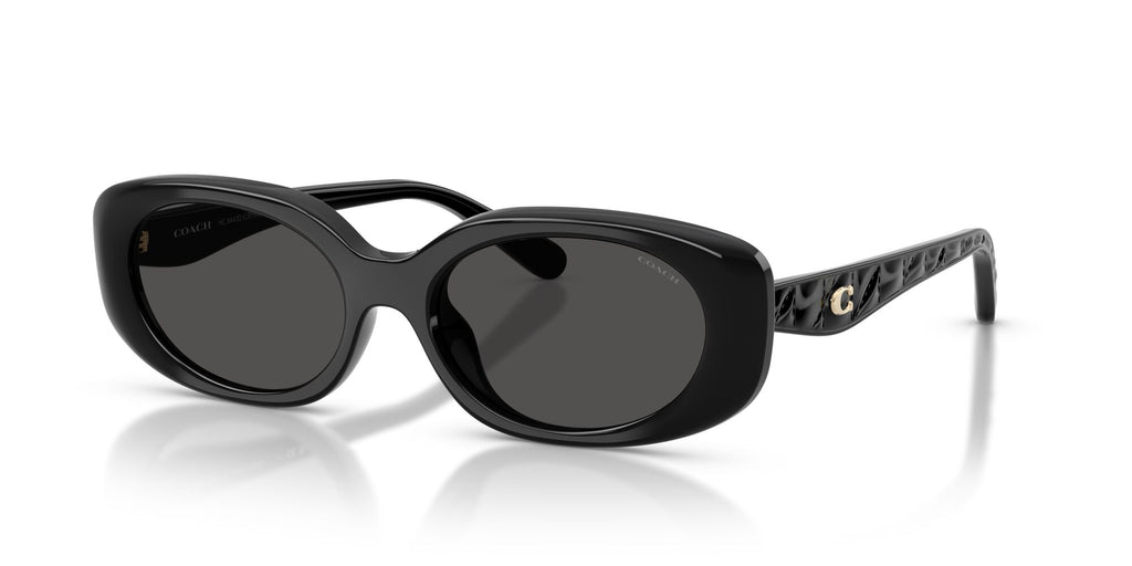 Coach 0HC8443D 500287 54 Black/ Grey Solid