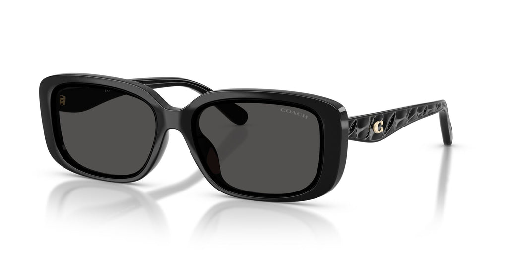Coach 0HC8444D 500287 57 Black/ Grey Solid