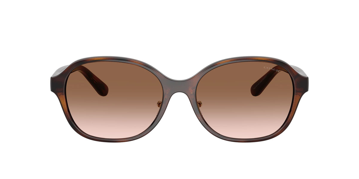Coach 0HC8445D 512013 56 Dark Tortoise/ Brown Gradient