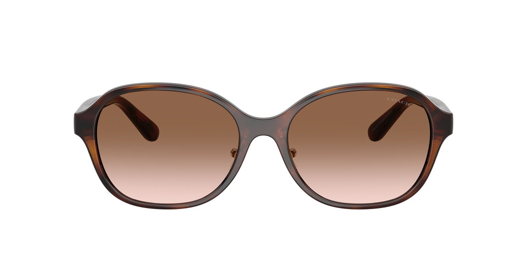 Coach 0HC8445D 512013 56 Dark Tortoise/ Brown Gradient