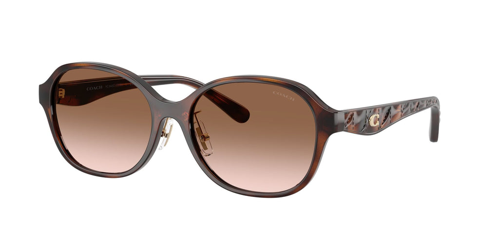 Coach 0HC8445D 512013 56 Dark Tortoise/ Brown Gradient