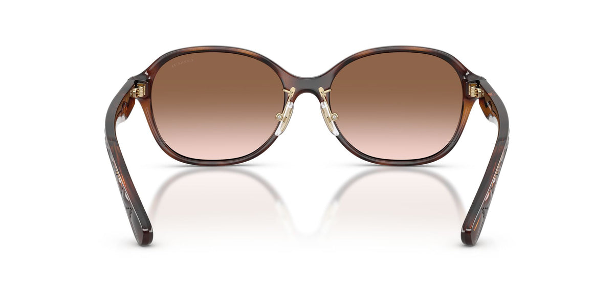 Coach 0HC8445D 512013 56 Dark Tortoise/ Brown Gradient