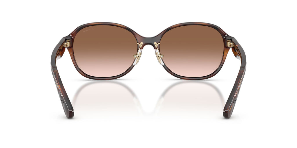 Coach 0HC8445D 512013 56 Dark Tortoise/ Brown Gradient