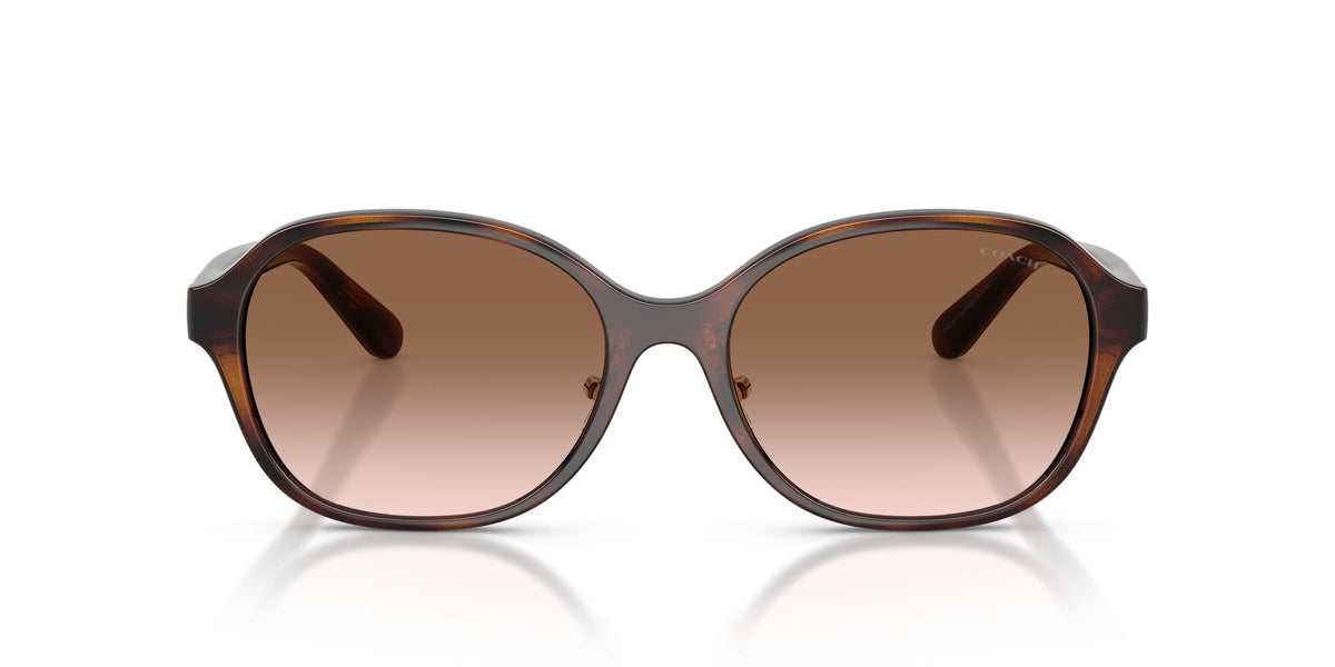 Coach 0HC8445D 512013 56 Dark Tortoise/ Brown Gradient