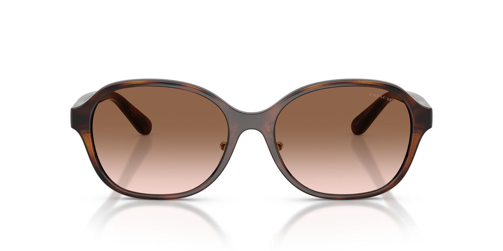 Coach 0HC8445D 512013 56 Dark Tortoise/ Brown Gradient
