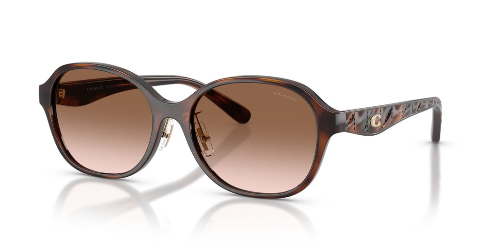 Coach 0HC8445D 512013 56 Dark Tortoise/ Brown Gradient