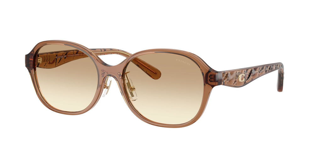 Coach 0HC8445D 565413 56 Transparent Brown/ Clear Brown