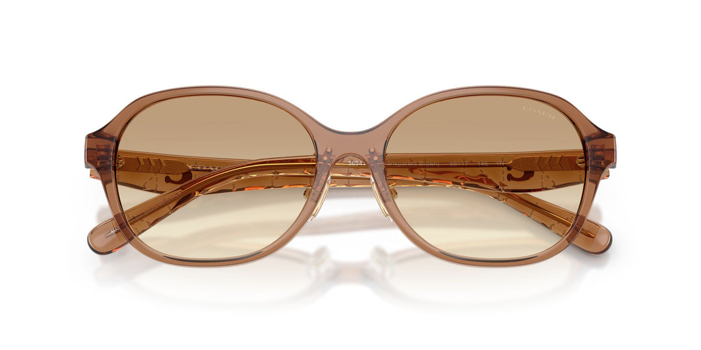 Coach 0HC8445D 565413 56 Transparent Brown/ Clear Brown
