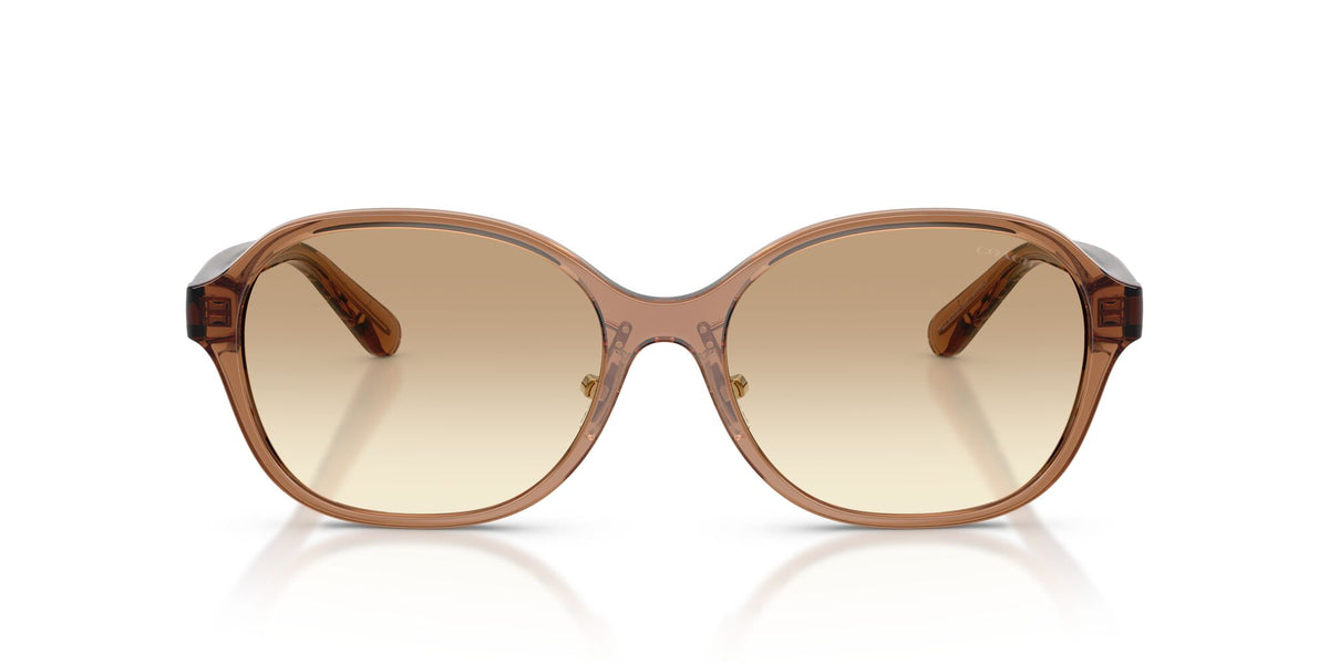 Coach 0HC8445D 565413 56 Transparent Brown/ Clear Brown