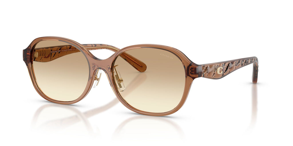 Coach 0HC8445D 565413 56 Transparent Brown/ Clear Brown