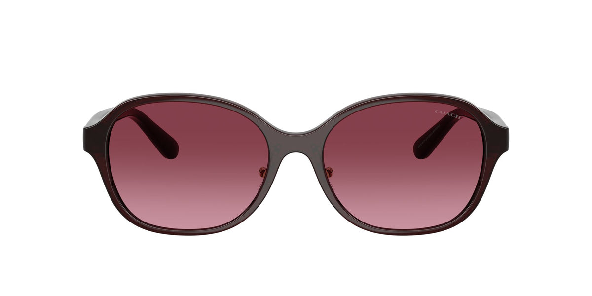 Coach 0HC8445D 59158H 56 Milky Merlot/ Merlot Gradient