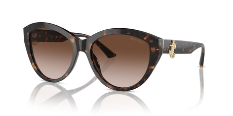 Jimmy Choo 0JC5007F 500213 55 Havana/ Gradient Brown