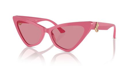 Jimmy Choo 0JC5008 502484 55 Pink/ Pink
