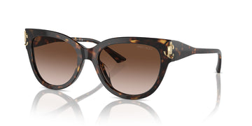 Jimmy Choo 0JC5018U 500213 54 Havana/ Gradient Brown