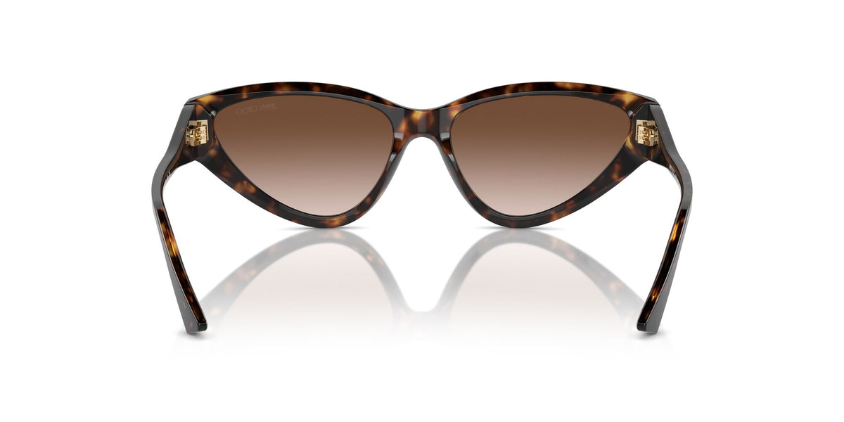 Jimmy Choo 0JC5019 500213 55 Havana/ Gradient Brown